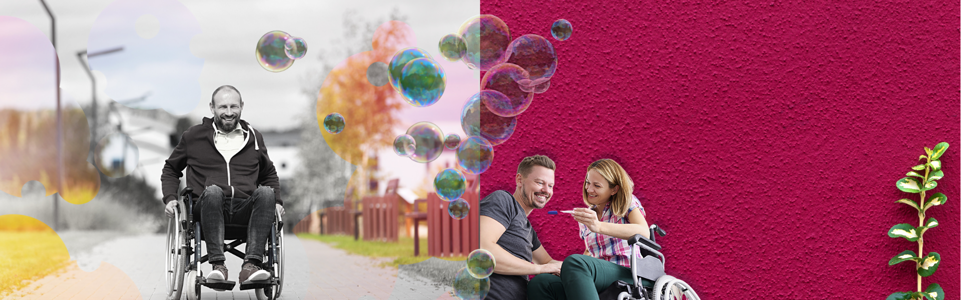 Featured image for “News and Events”